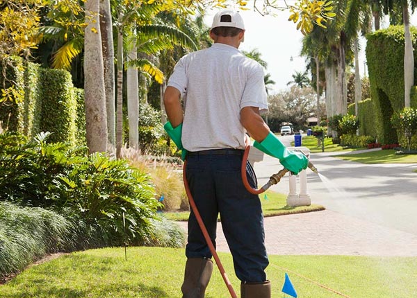 About New Straitsville OH Pest Control